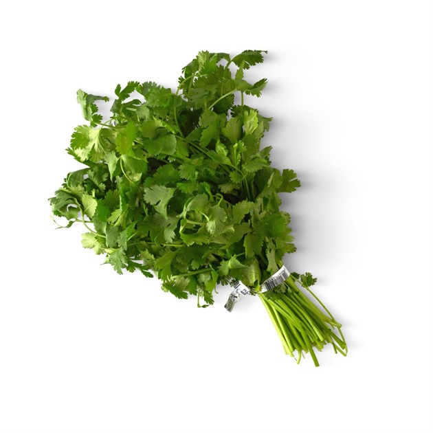 Koriander färsk ES bunt