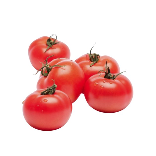 Tomat Biff kg