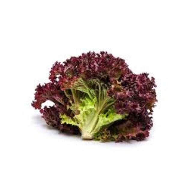 Sallad Lollo Rosso
