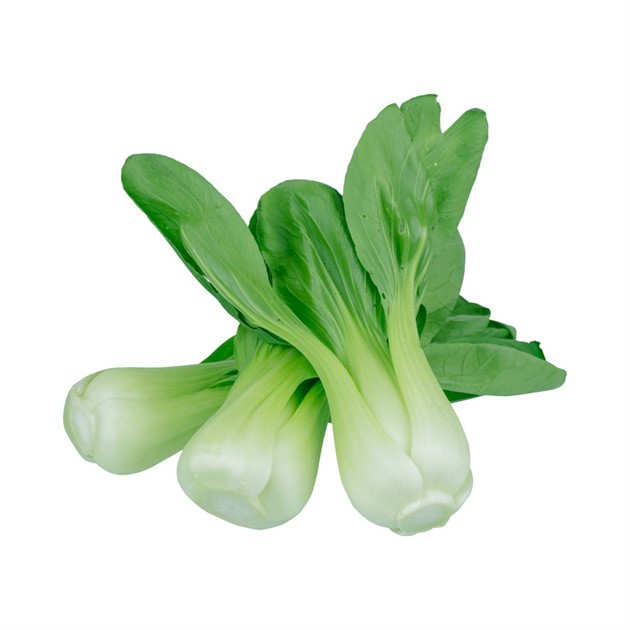 Sallad Pak Choi 8 kg