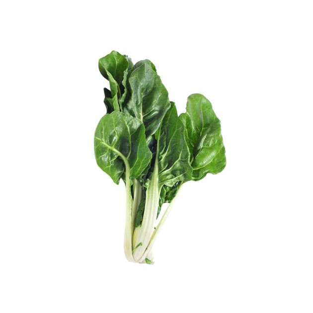 Sallad Mangold knippe