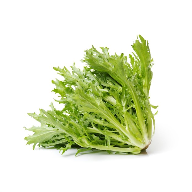 Sallad Frissé fin