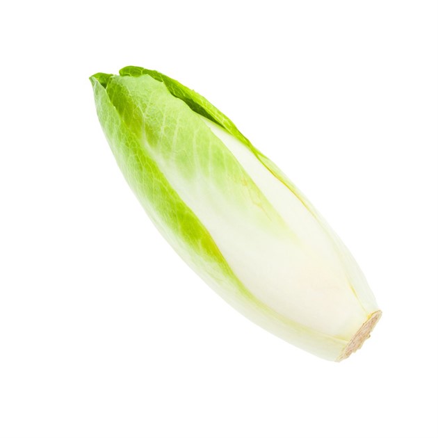 Sallad Endive gul 5 kg