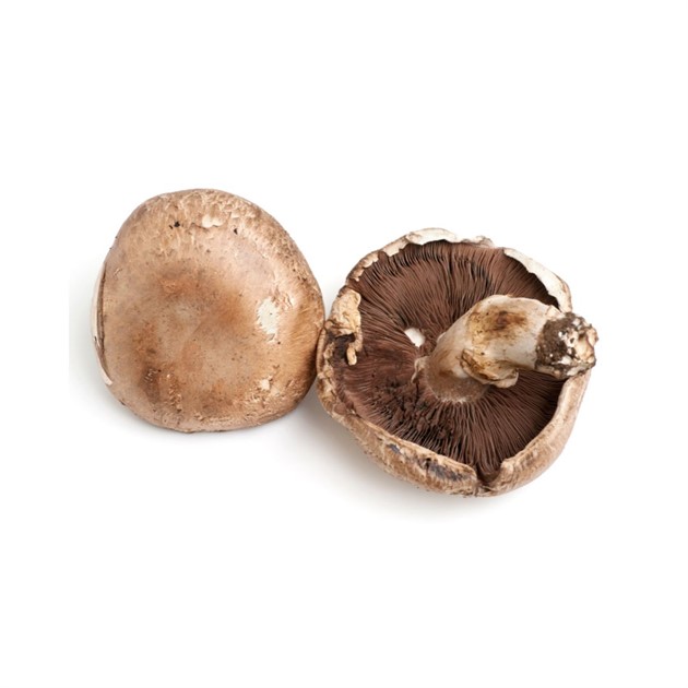 Svamp Portabello 1,5 kg/låda