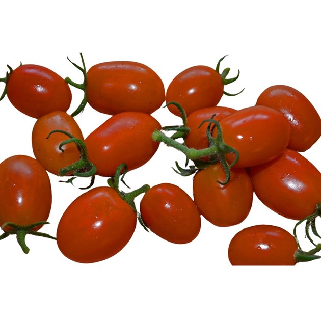 Tomat Plommon kg