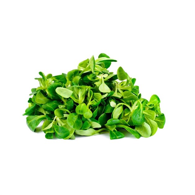 Sallad Maché i påse 500g