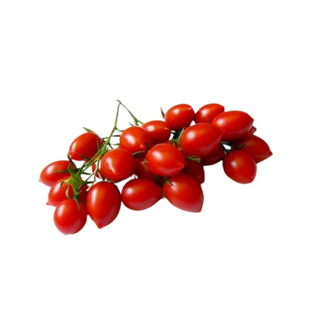 Tomat Datterini röd kg