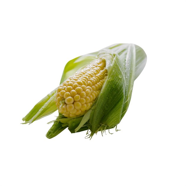 Majs färsk