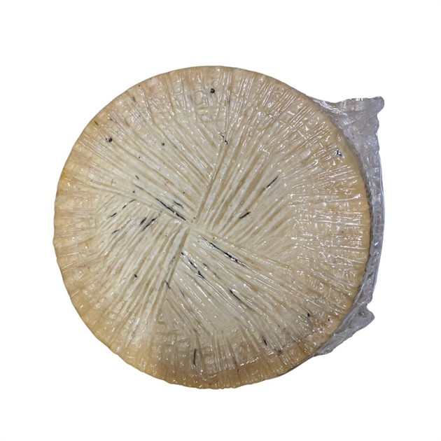 Pecorino Tryffel Arrogante 12 mån ca 6 kg
