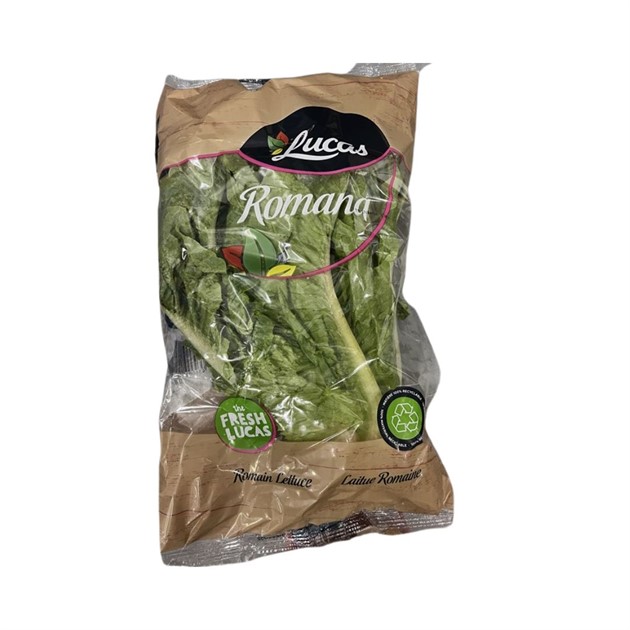 Sallad Roman stor 2-pack