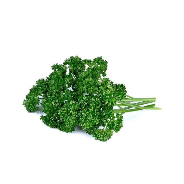 Persilja krus kg