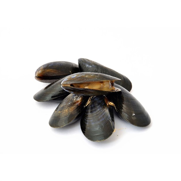 Blåmusslor sous vide MSC Frysta kg