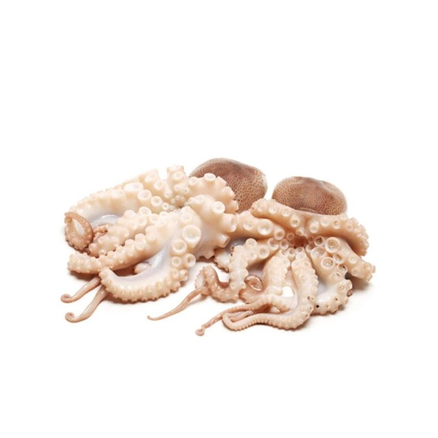 Bläckfisk 10/20 IQF baby octopus kg