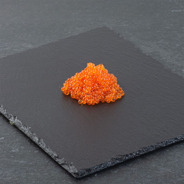 Forellrom (regnbågslax) fryst 500g