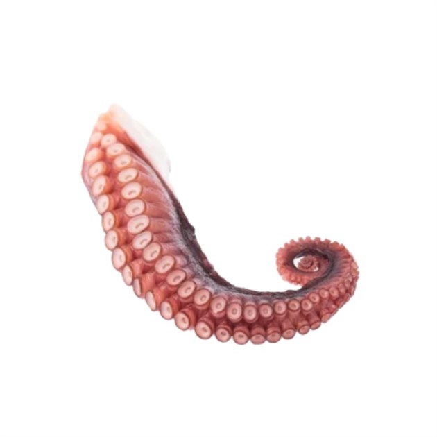 Bläckfisk tentakler kokta 500g